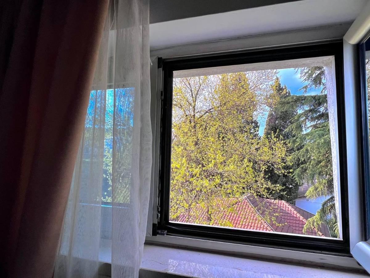 Hotel Ambasador 포드고리차 외부 사진